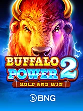 Buffalo Power 2: Hold and Win