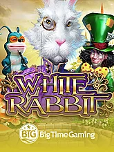 White Rabbit