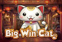 Big Win Cat