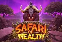 Safari of Wealth