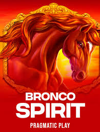 Bronco Spirit