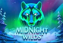 Midnight Wilds