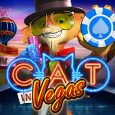 Cat in Vegas
