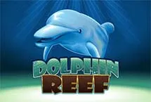 Dolphin Reef