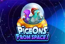 Pigeons From Space!