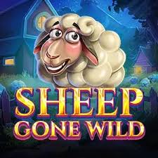 Sheep Gone Wild