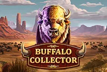 Buffalo Collector