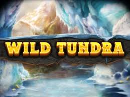 Wild Tundra