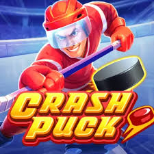 Crash Puck